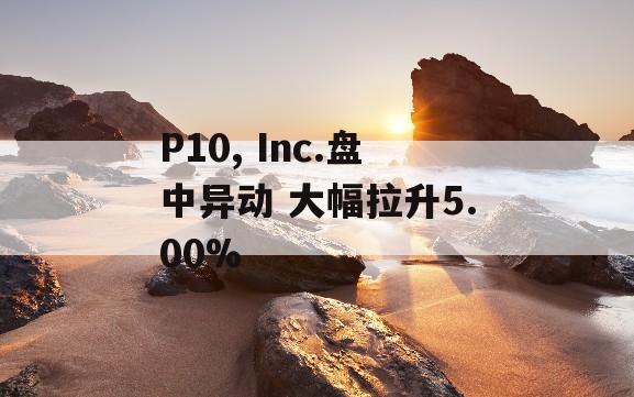 P10, Inc.盘中异动 大幅拉升5.00%